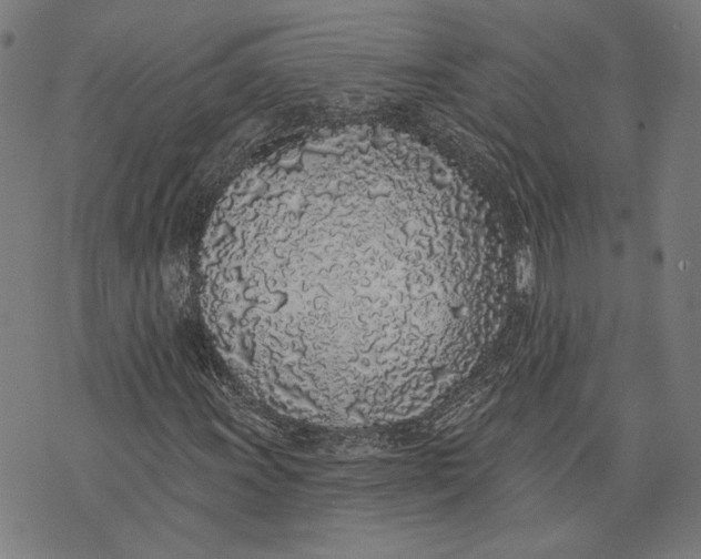 X0000071771011200607211526