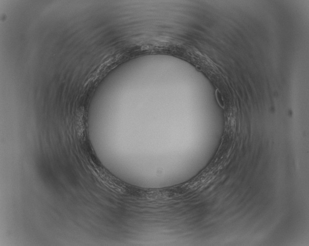 X0000071771012200607211526