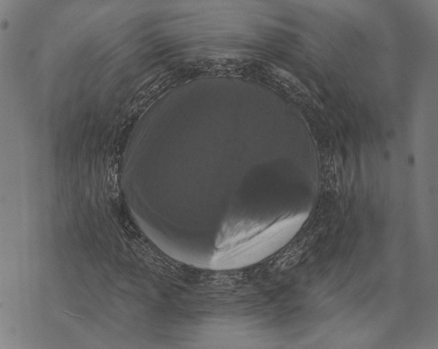 X0000071771013200607211526