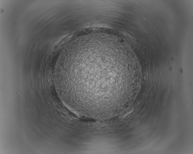 X0000071771014200607211526