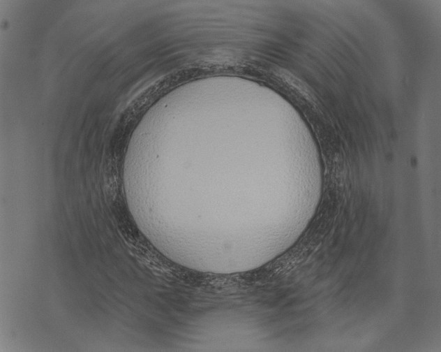 X0000071771015200607211526