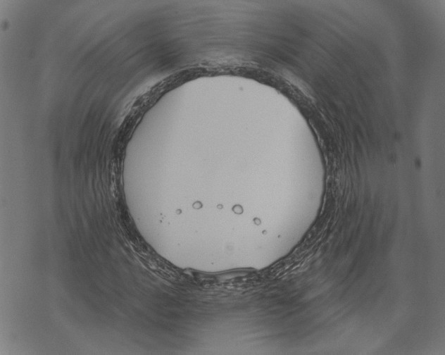 X0000071771016200607211526