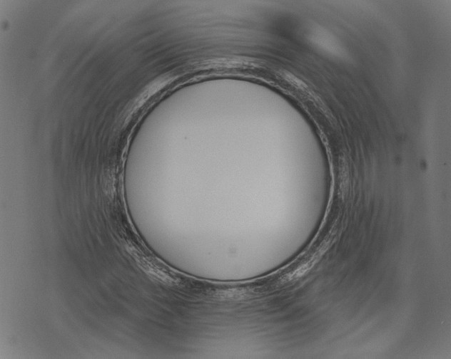 X0000071771017200607211526