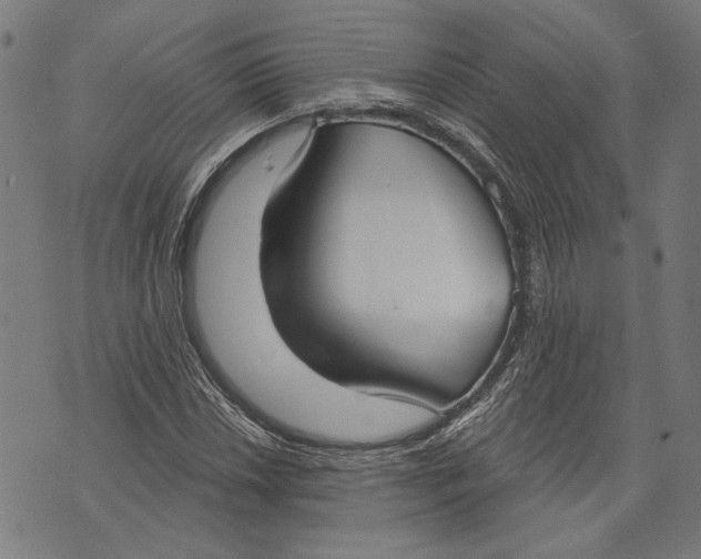 X0000071771018200607211526