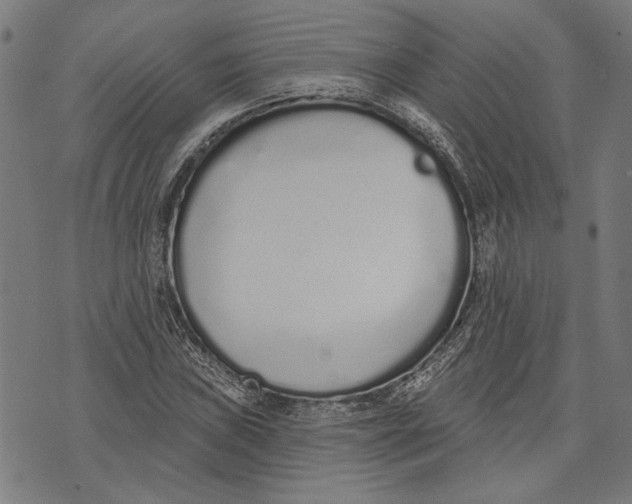 X0000071771019200607211526