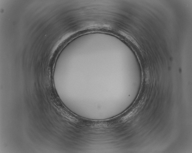 X0000071771021200607211526