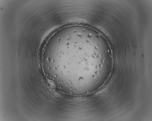 X0000071771022200607211526