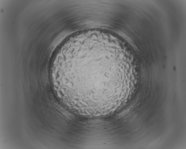 X0000071771023200607211526