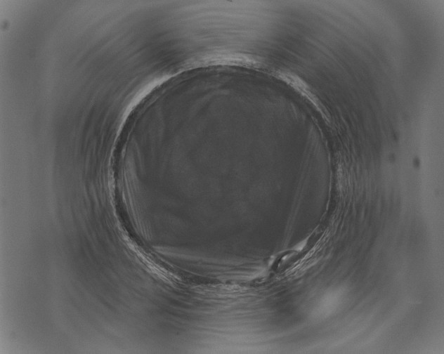 X0000071771024200607211526