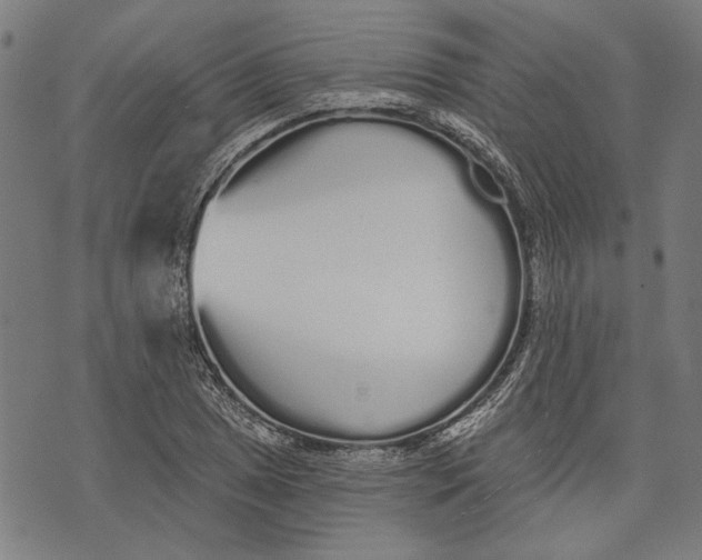 X0000071771025200607211526