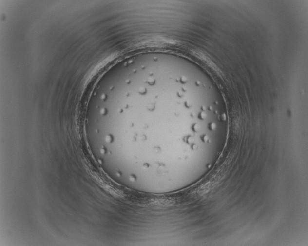 X0000071771026200607211527