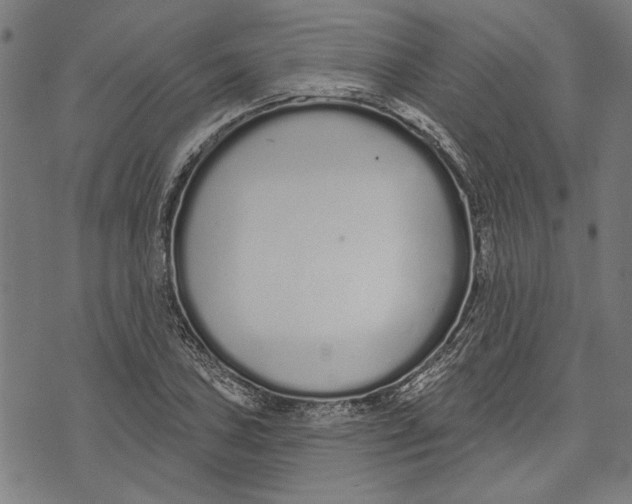 X0000071771027200607211527