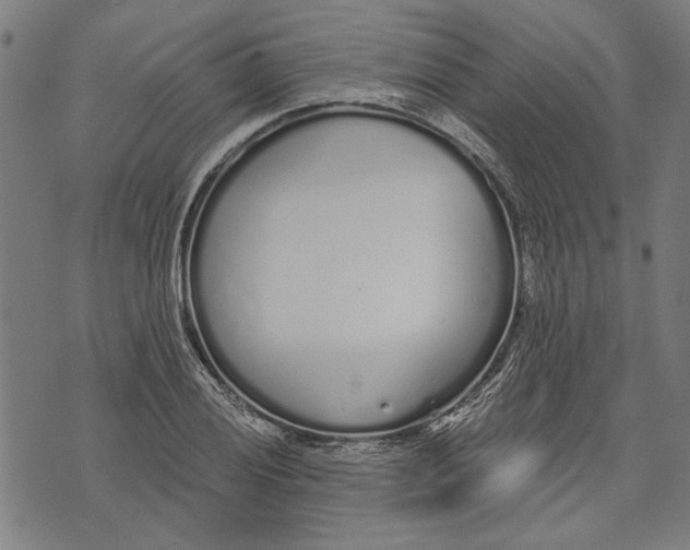 X0000071771028200607211527