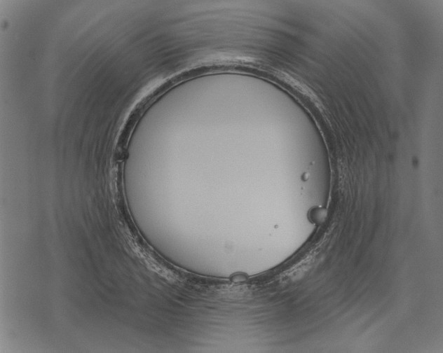 X0000071771029200607211527