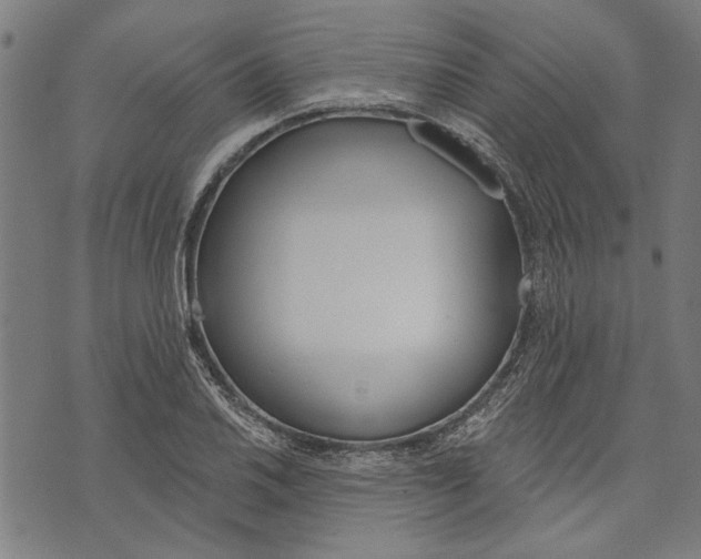 X0000071771030200607211527