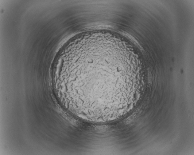 X0000071771031200607211527