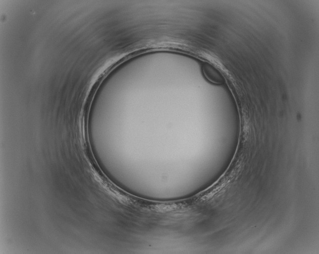 X0000071771032200607211527