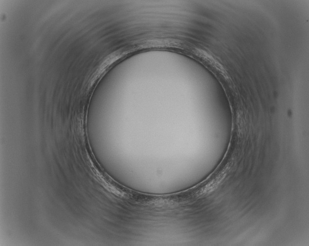 X0000071771033200607211527