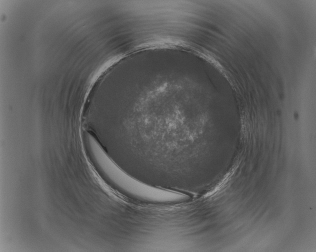 X0000071771034200607211527