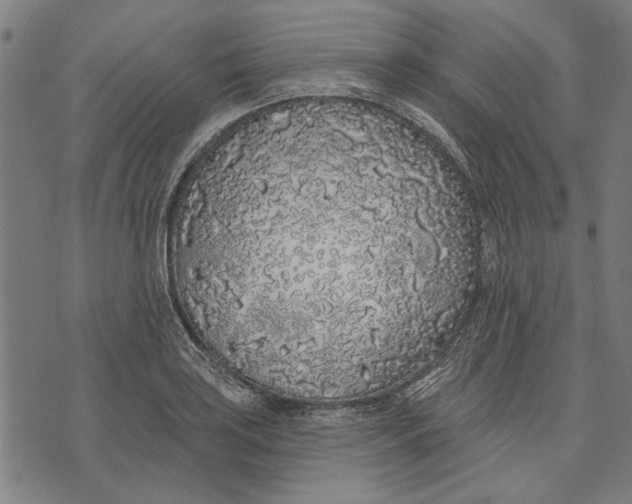 X0000071771035200607211527