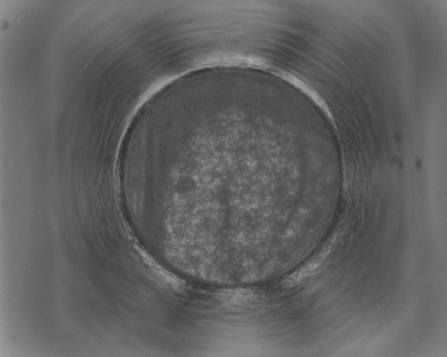 X0000071771037200607211527