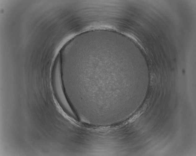 X0000071771038200607211527