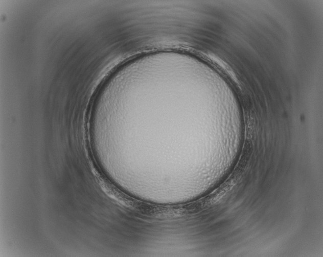 X0000071771039200607211527