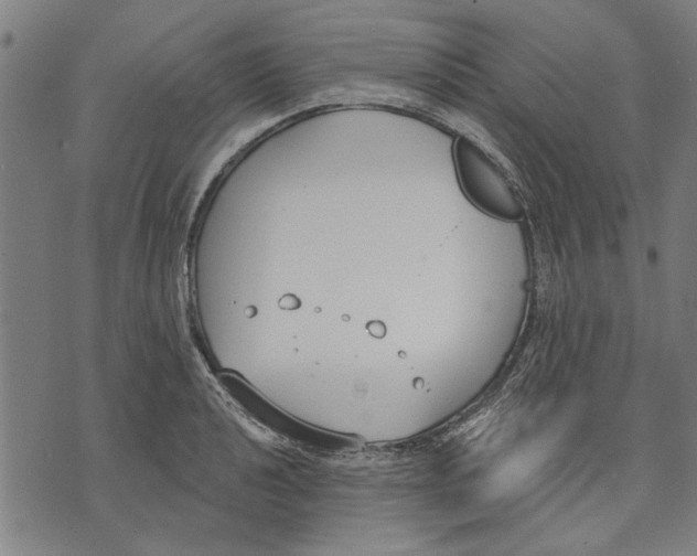 X0000071771040200607211527