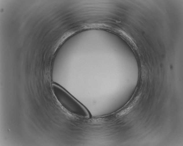 X0000071771041200607211527