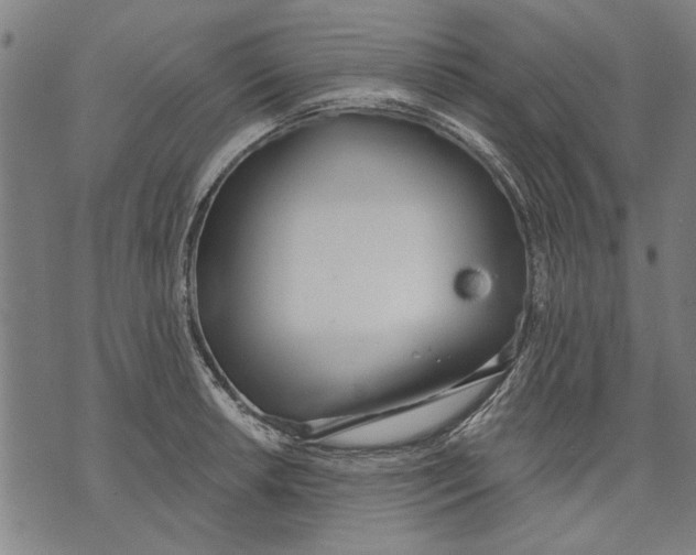 X0000071771042200607211527