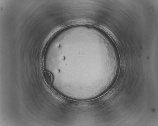 X0000071771043200607211527