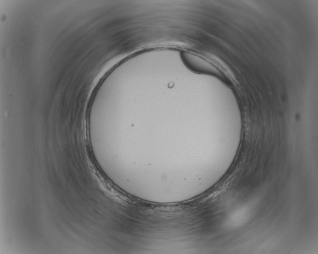 X0000071771044200607211527