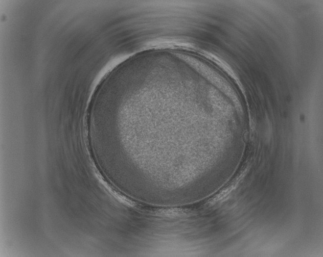 X0000071771045200607211527