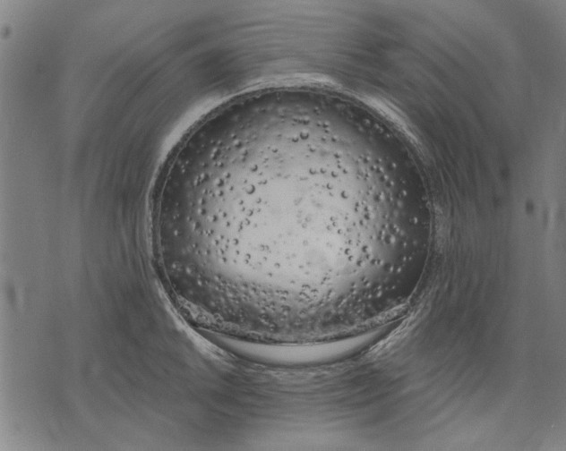 X0000071771046200607211527