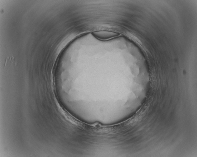 X0000071771047200607211527