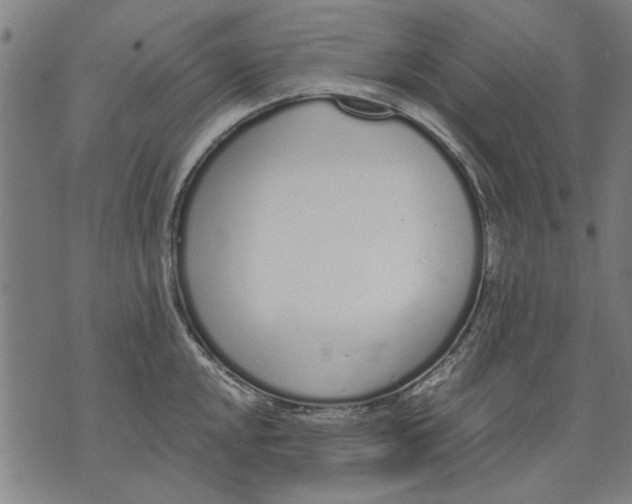 X0000071771048200607211527