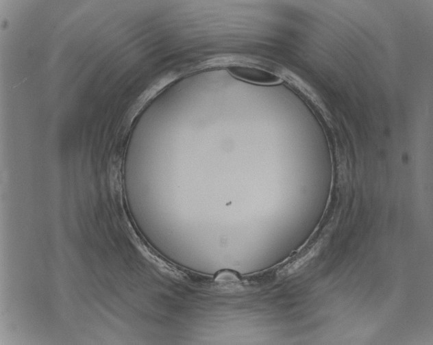 X0000071771049200607211527