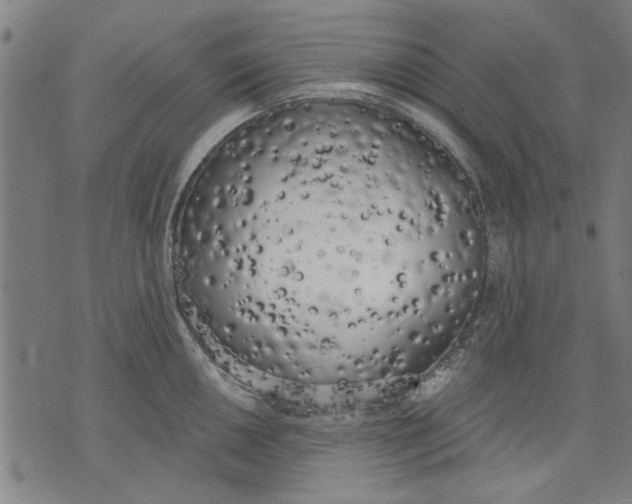 X0000071771050200607211527