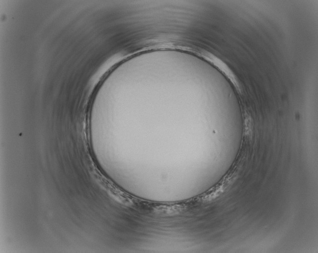 X0000071771051200607211527