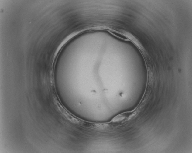 X0000071771052200607211527