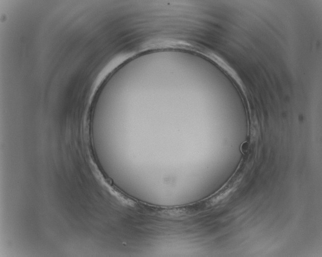 X0000071771053200607211527