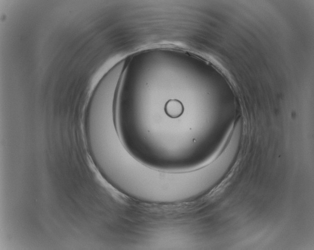 X0000071771054200607211527