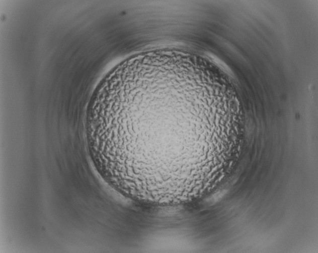 X0000071771055200607211527