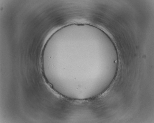 X0000071771056200607211527