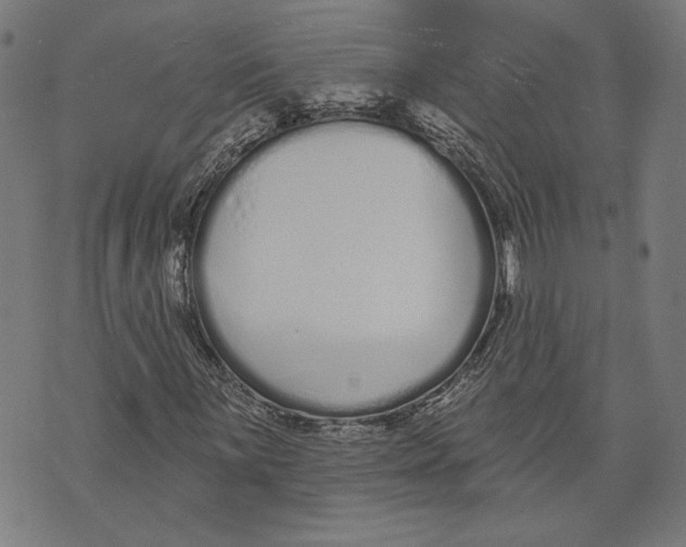 X0000071771059200607211526