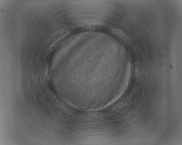 X0000071771060200607211526