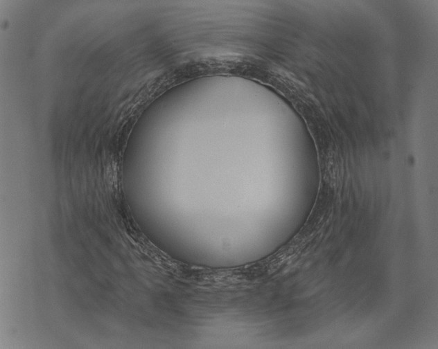 X0000071771061200607211526