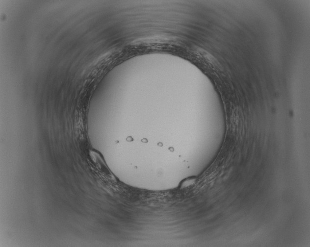 X0000071771062200607211526