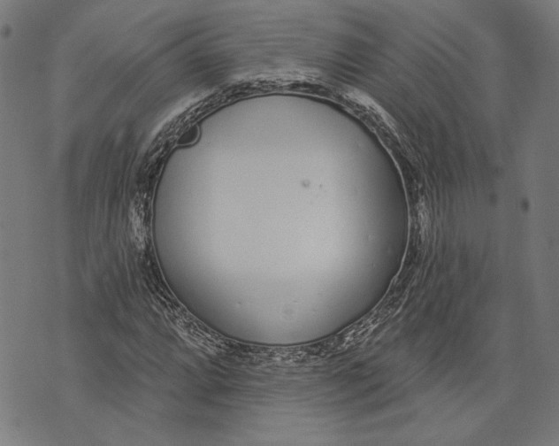 X0000071771064200607211526