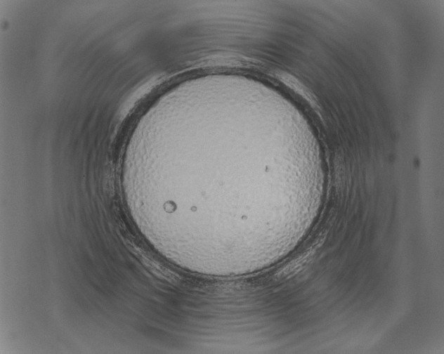 X0000071771067200607211526